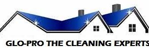 Glo-Pro: The Cleaning Experts logo